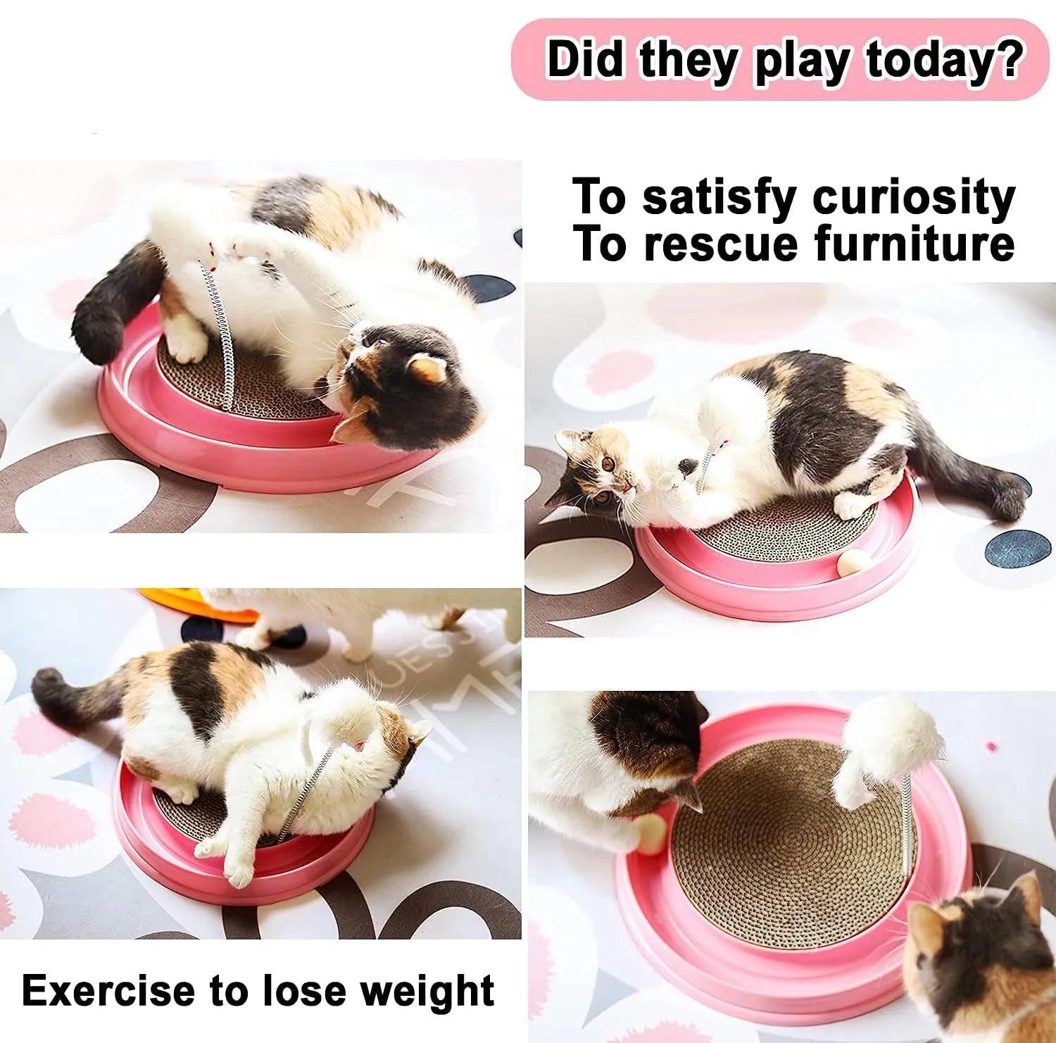 Interactive cat scratcher toy with ball track and replaceable cardboard scratch pad in blue colour
