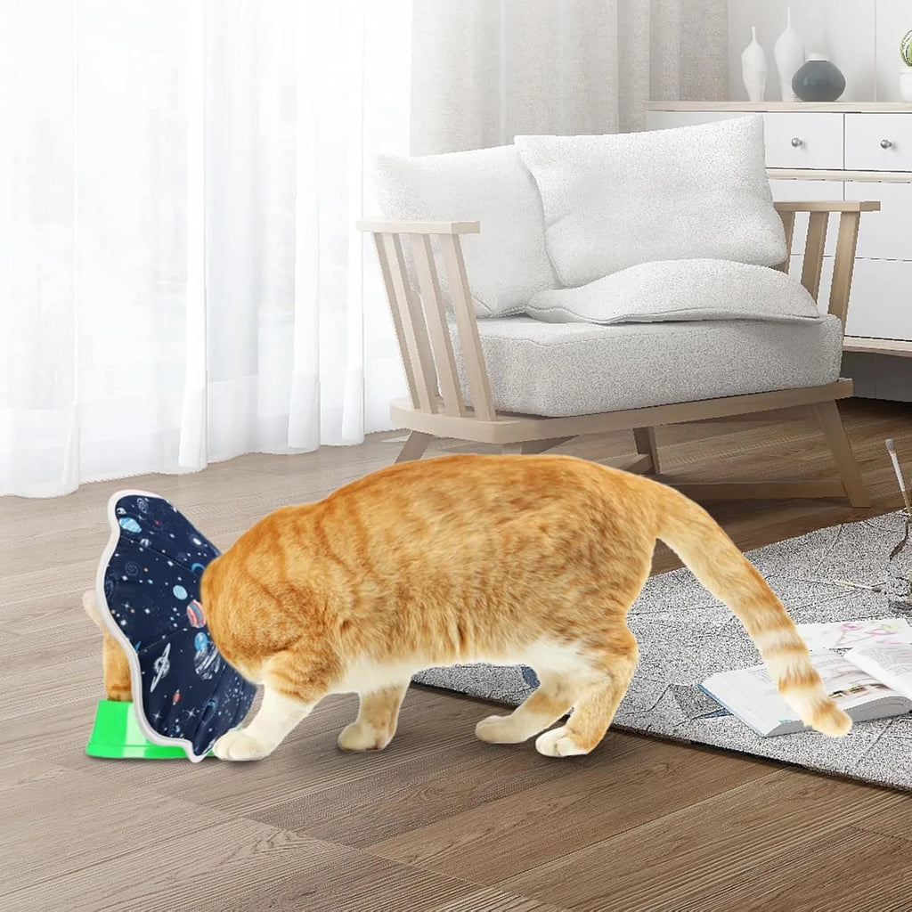 Soft cat recovery cone collar in Planet colour on a small cat, adjustable strap, breathable fabric design
