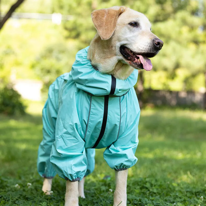 Dog shell jacket cotton-padded in red colour on a white background