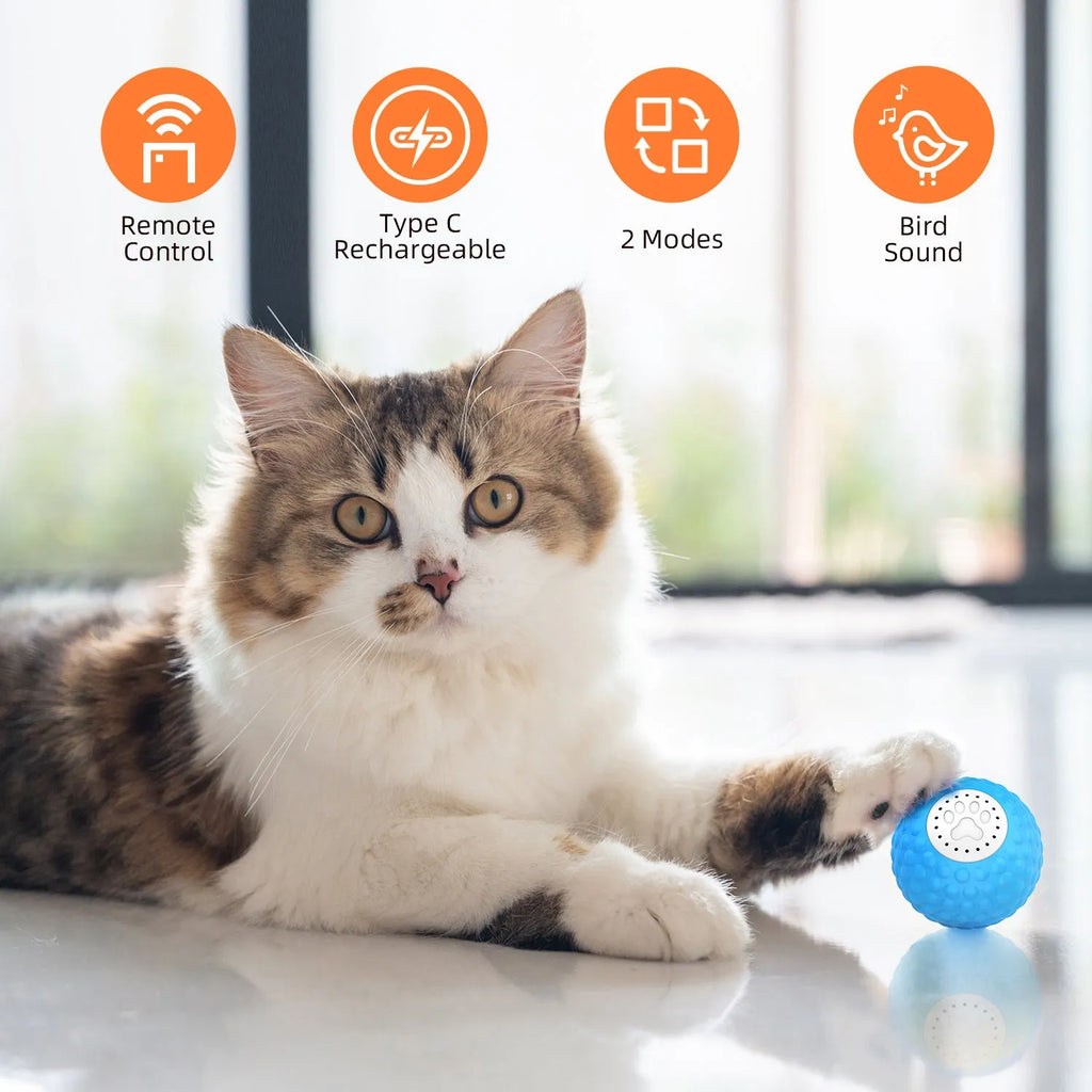 Remote control and coloured smart cat ball toy for interactive pet play