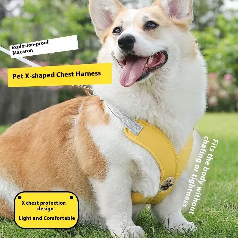 New Pet Vest Hand Holding Rope in polyester, available in blue, green, pink, yellow, sizes S M L XL