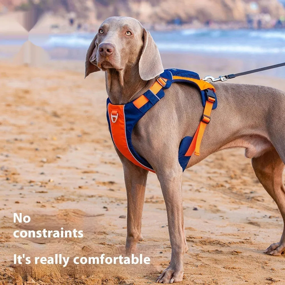 Orange blue nylon dog chest strap vest with hand rope leash shown on adjustable sizing