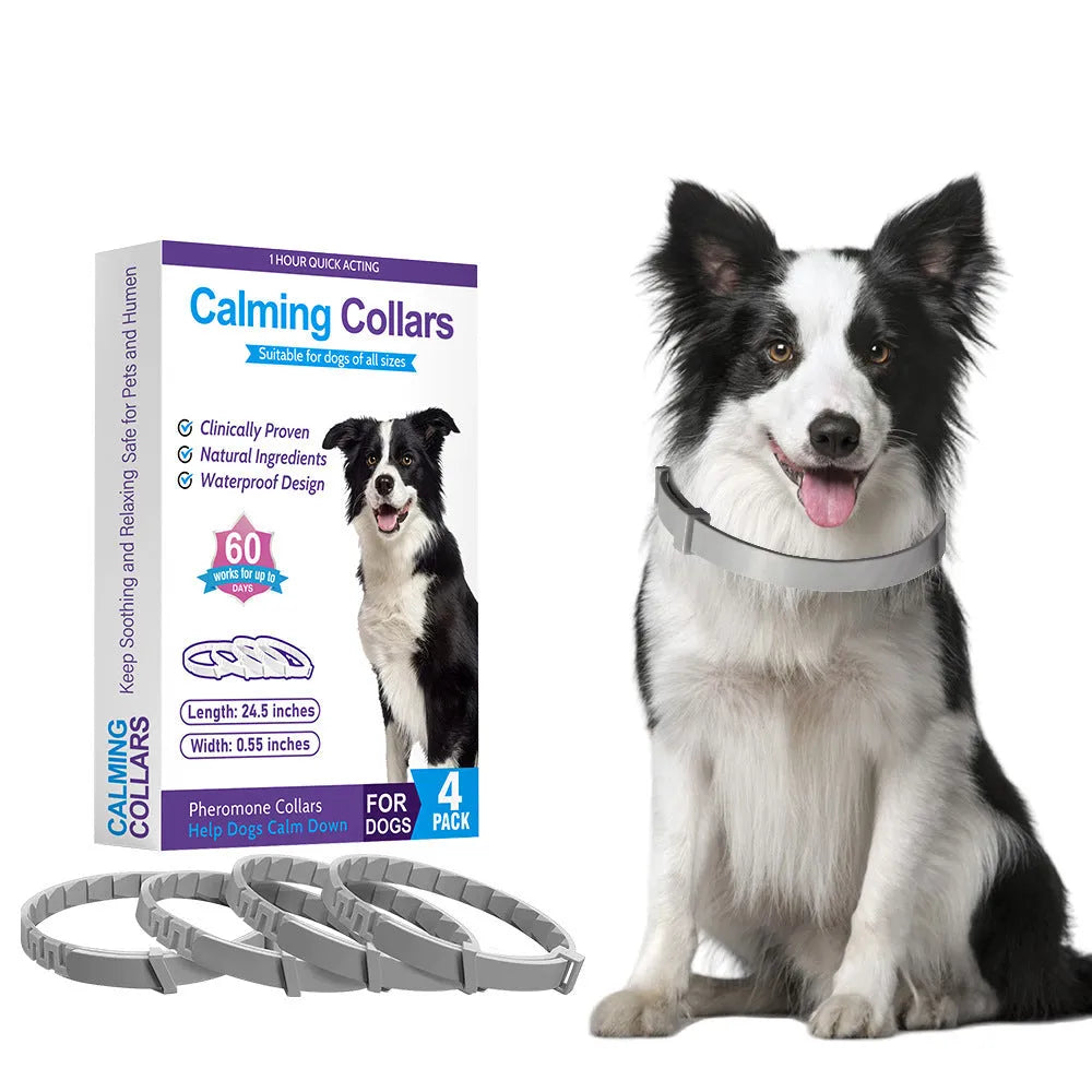 Four dog calming collars in different colours, showing TPR material and 62cm length.