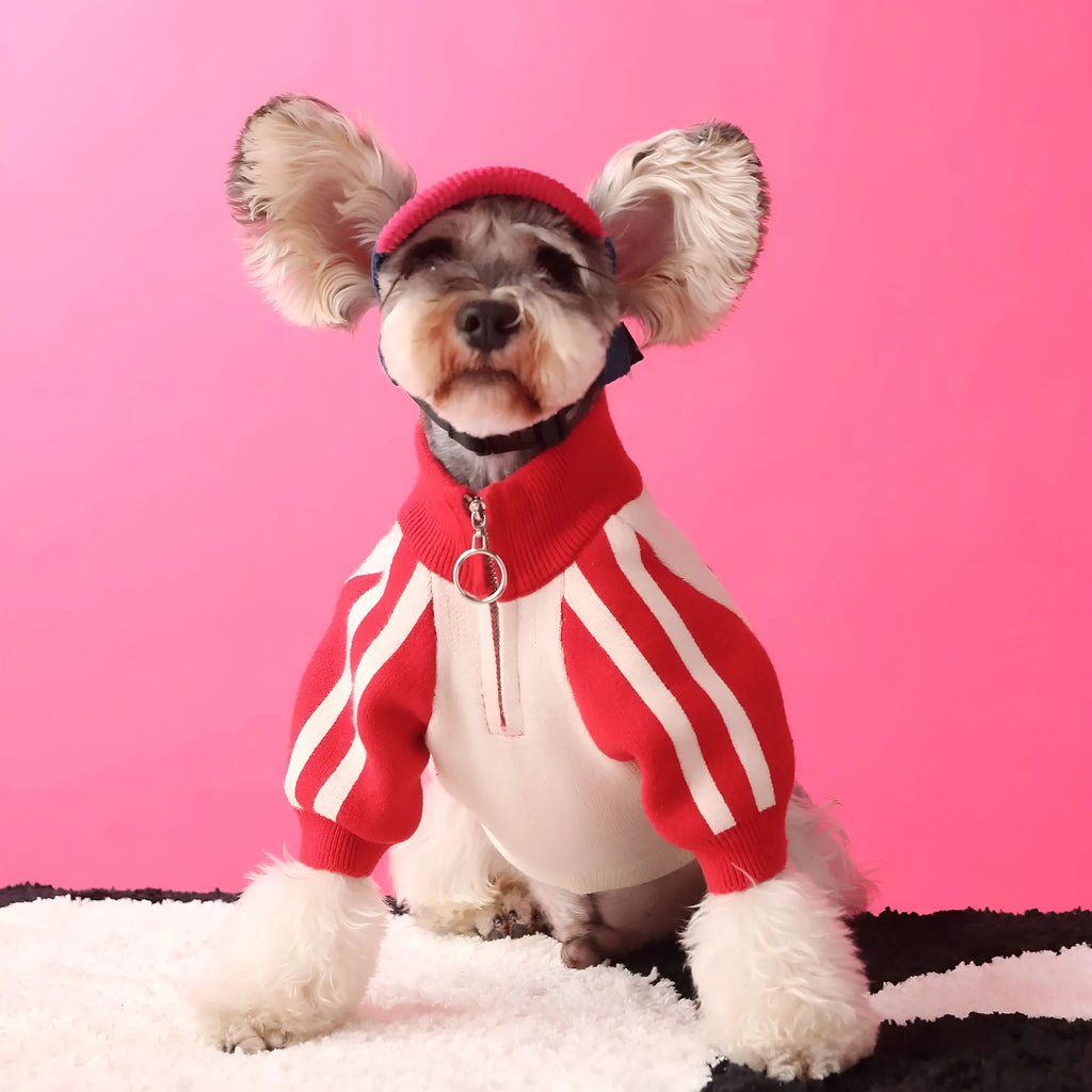 Red wool puppy dog sports sweater cardigan on white background, size S to XXL available