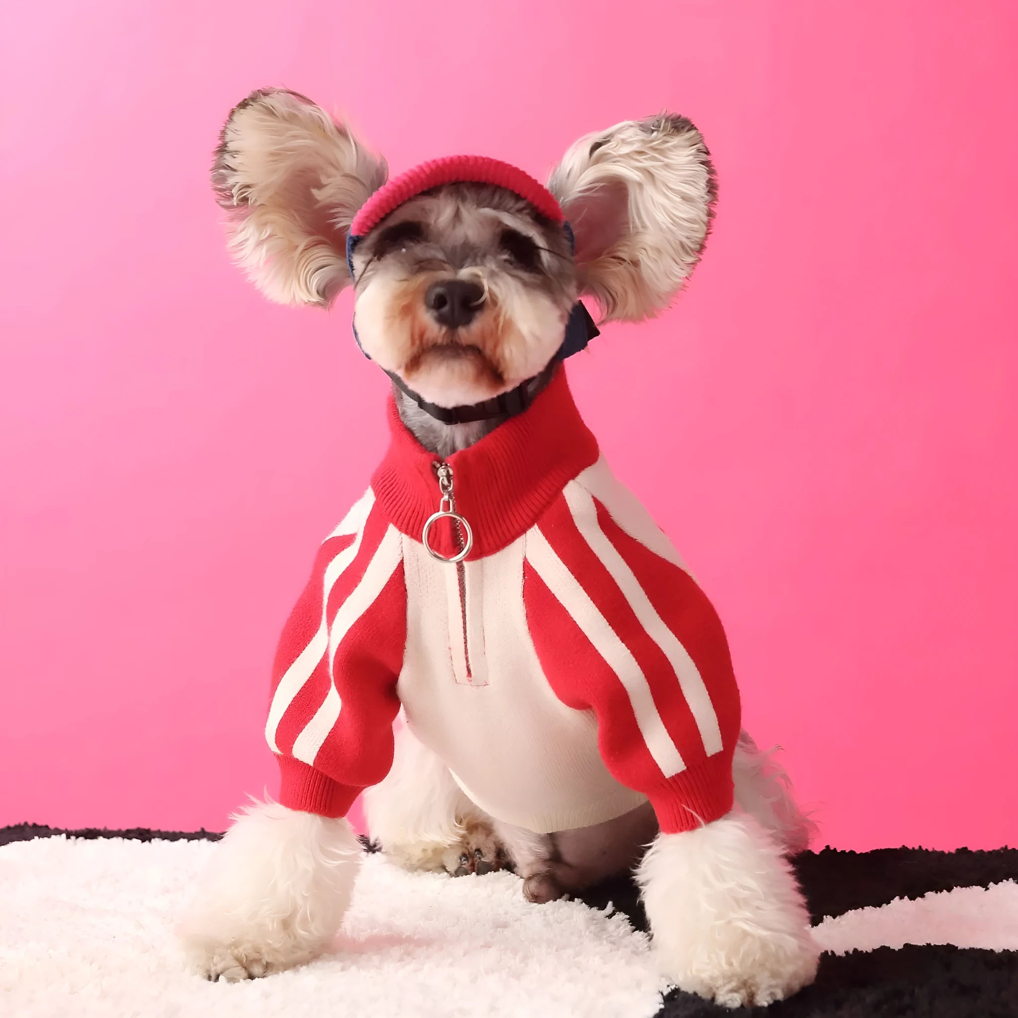 Red wool puppy dog sports sweater cardigan on white background, size S to XXL available