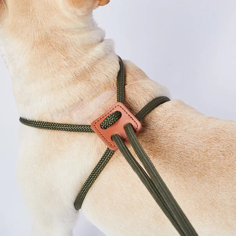 Monochrome chest-back dog leash in synthetic silk nylon and cowhide, 0.8 cm diameter and 143 cm length