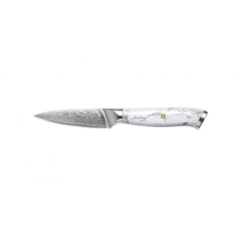 Damascus pattern VG10 stainless steel chef knife with 21cm blade for kitchen use