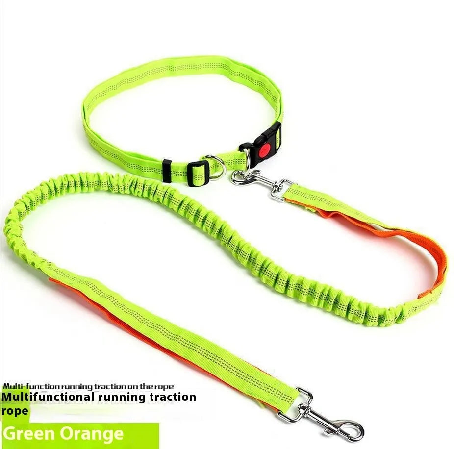 Reflective nylon dog leash with elastic section in multiple colour combinations, 2.5cm width