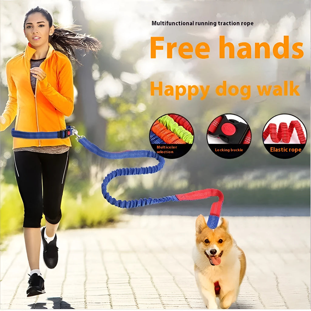 Reflective nylon dog leash with elastic section in multiple colour combinations, 2.5cm width