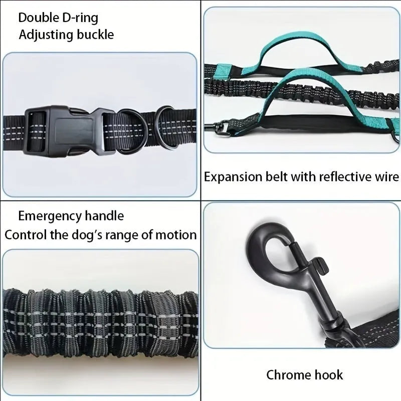 Hands-free dog leash made of durable nylon with adjustable waist belt, for running or walking with an active dog