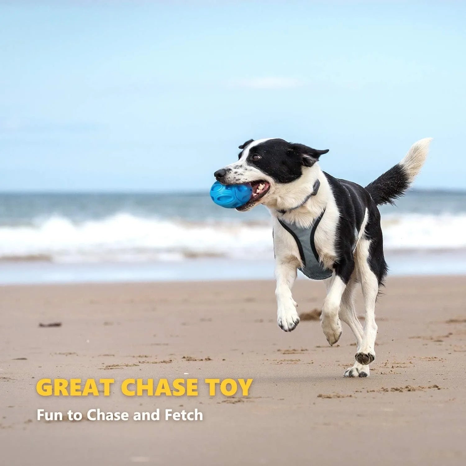 Blue, green, and orange rubber squeaky dog toy ball with grooved surface for aggressive chewers.