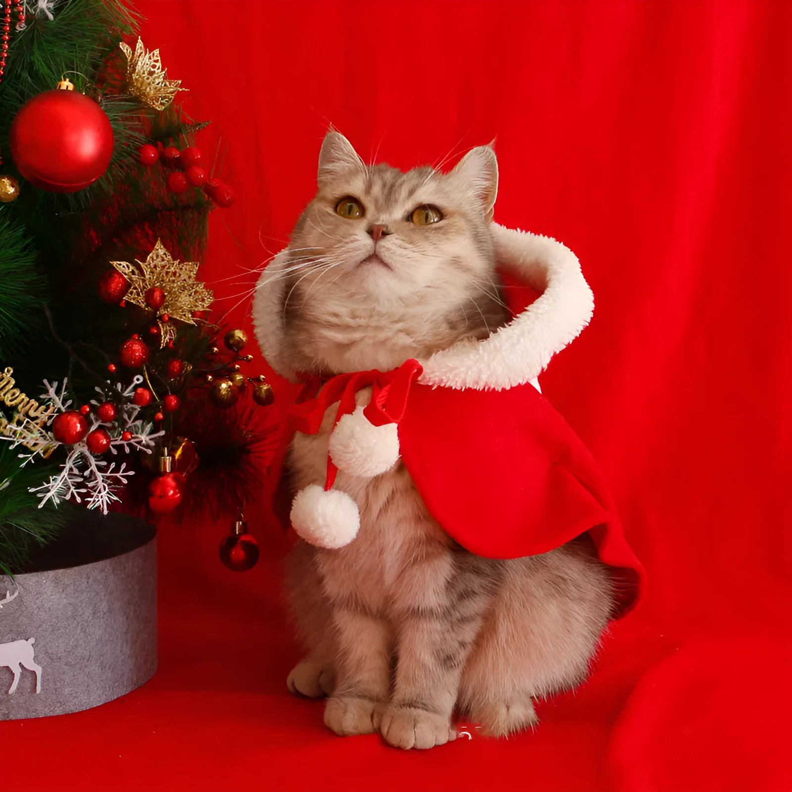 Red polar fleece Christmas cloak for cats and dogs with hood