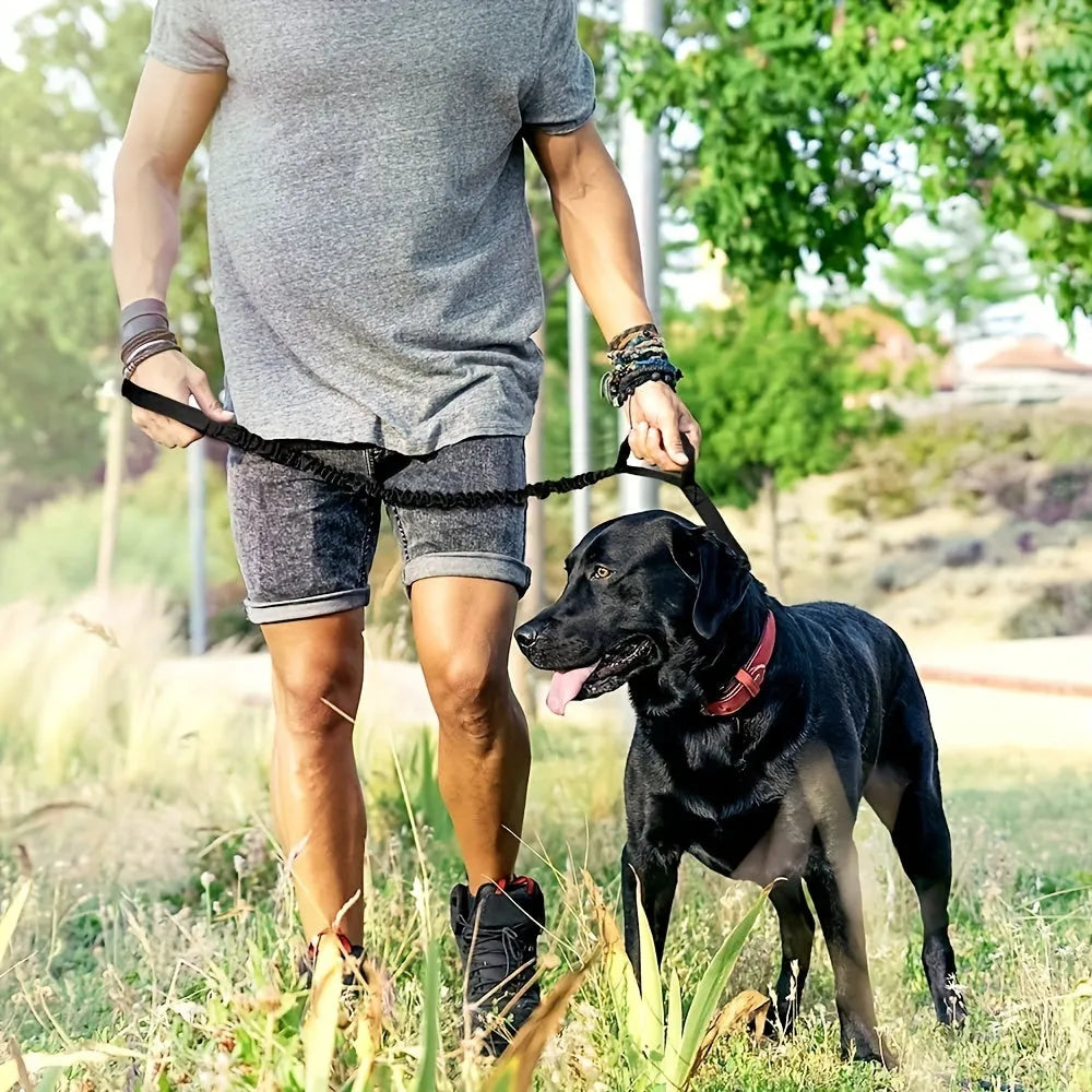 Durable anti-burst retractable leash for large dogs in black with safety lock mechanism