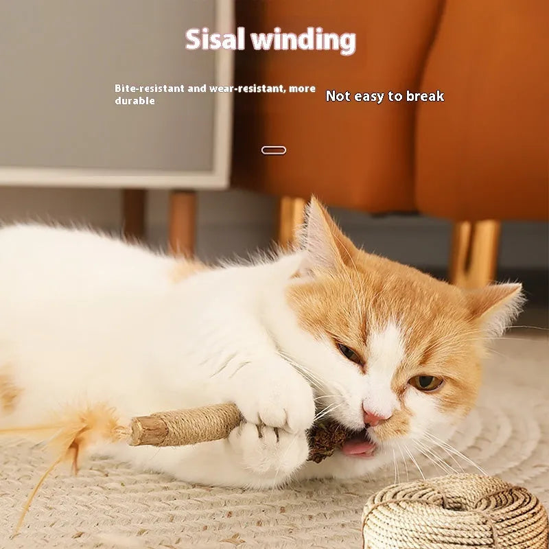 Wooden cat teeth grinding rod with 2.2cm diameter for feline dental care and chewing