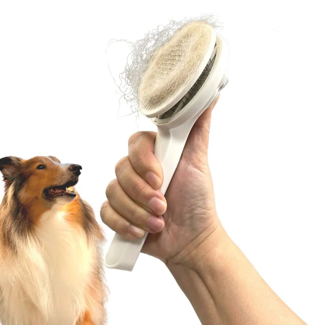 Self-cleaning slicker brush for dog and cat grooming with blue handle and stainless steel bristles.