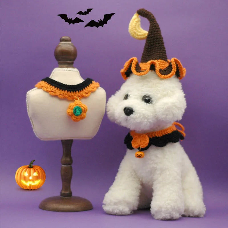 Hand crocheted wool pet collar in Bell Pumpkin colour on a cat, adjustable size for Halloween
