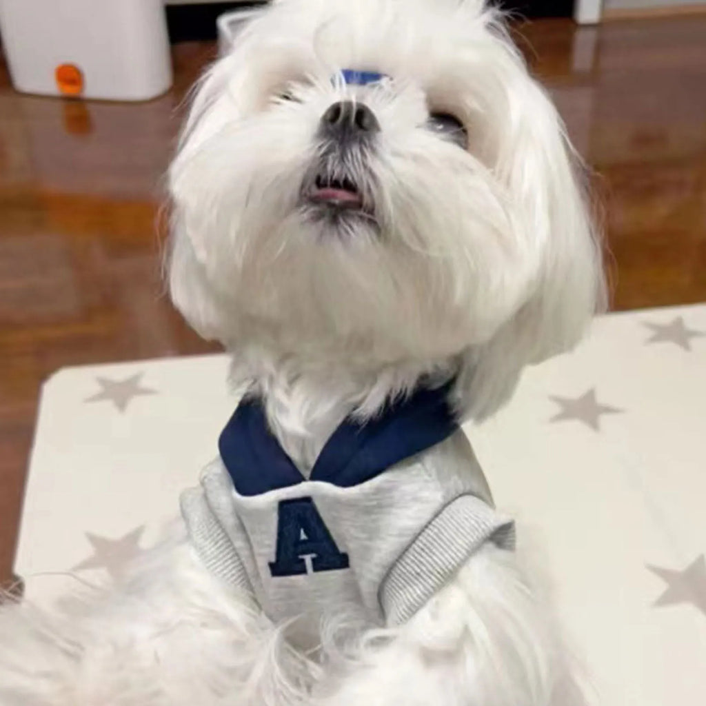 Blue and white reflective letter pet hoodie for dogs and cats