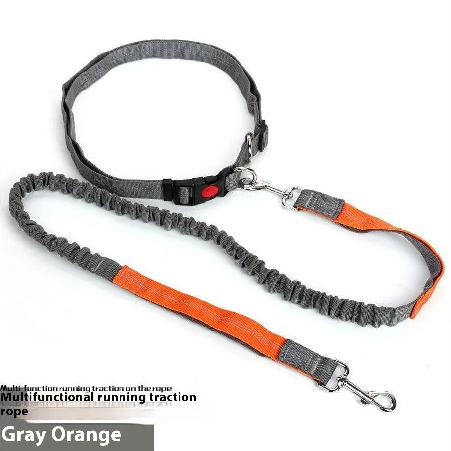 Reflective nylon dog leash with elastic section in multiple colour combinations, 2.5cm width