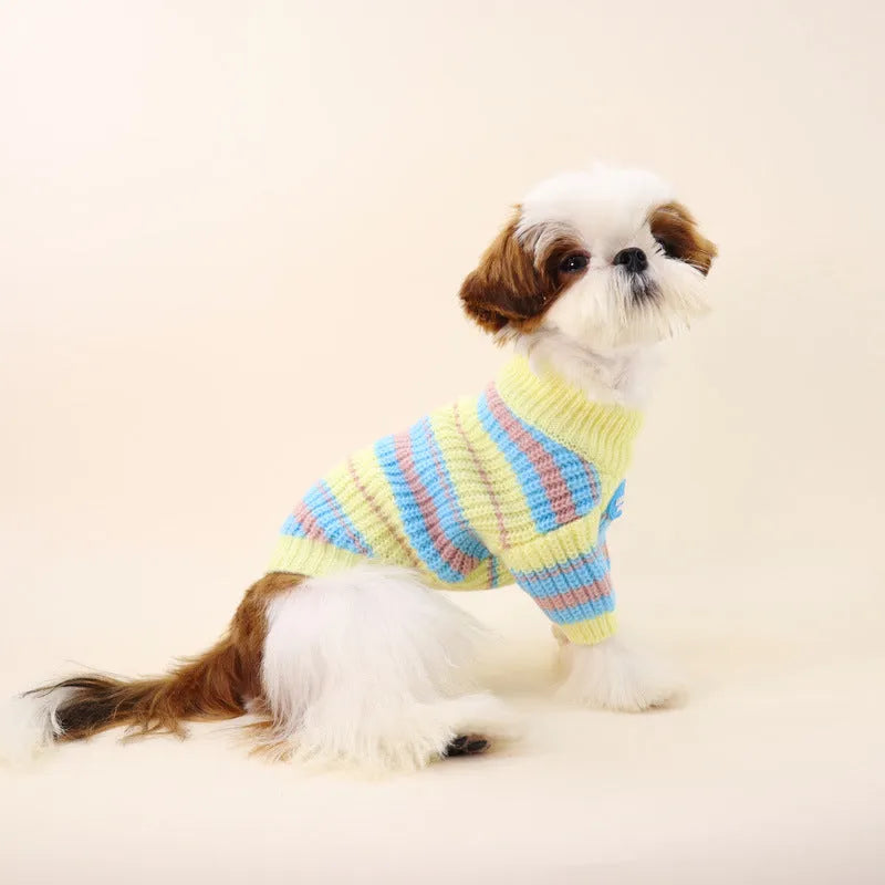 Blue and yellow striped wool dog sweater for small breeds in six sizes from XS to XXL