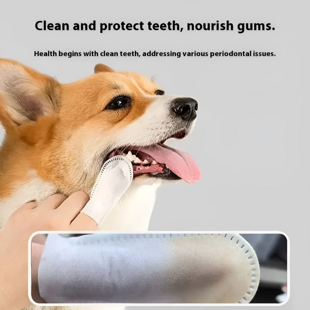 50 disposable pet dental finger cots for cleaning cat and dog teeth