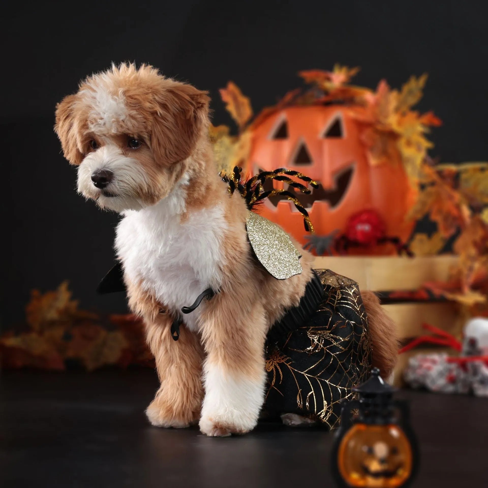 Halloween costume suit for a dog, shown in a single colour, sized S, M, L, or XL.