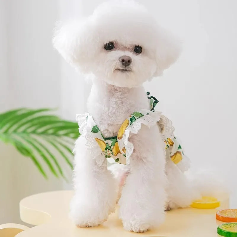 Rock Yellow Lemon thin breathable polyester dog strap skirt princess style for small pets