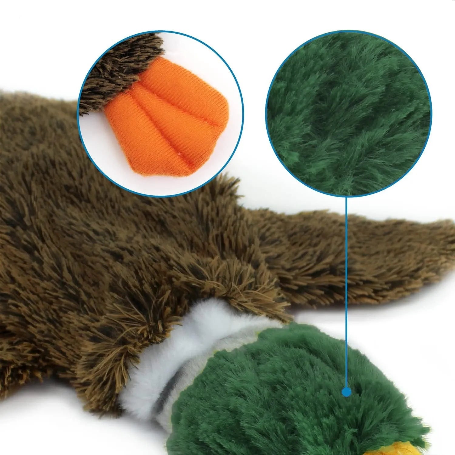 Green wild duck shaped soft dog toy with no stuffing and dual squeakers