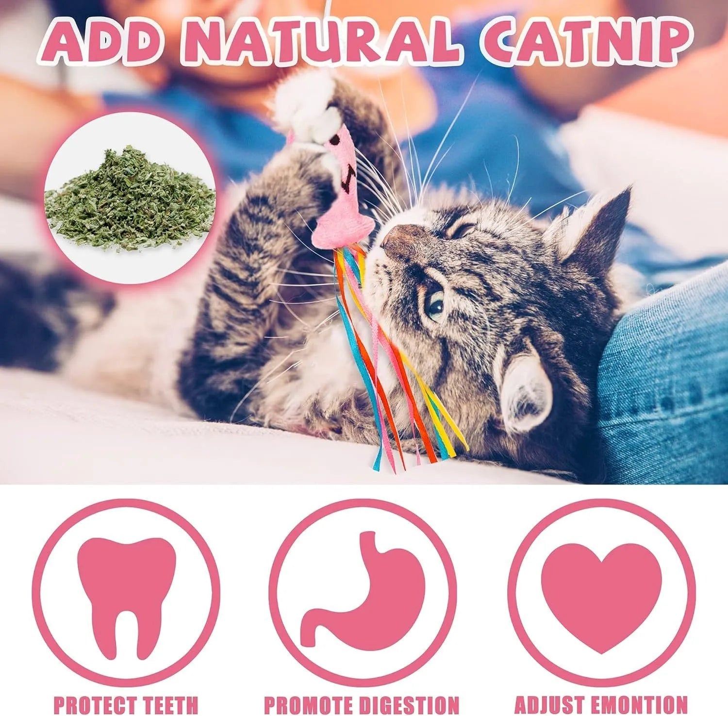 Cat wand toy with colourful ribbons, catnip fish, and bell on natural wooden handle