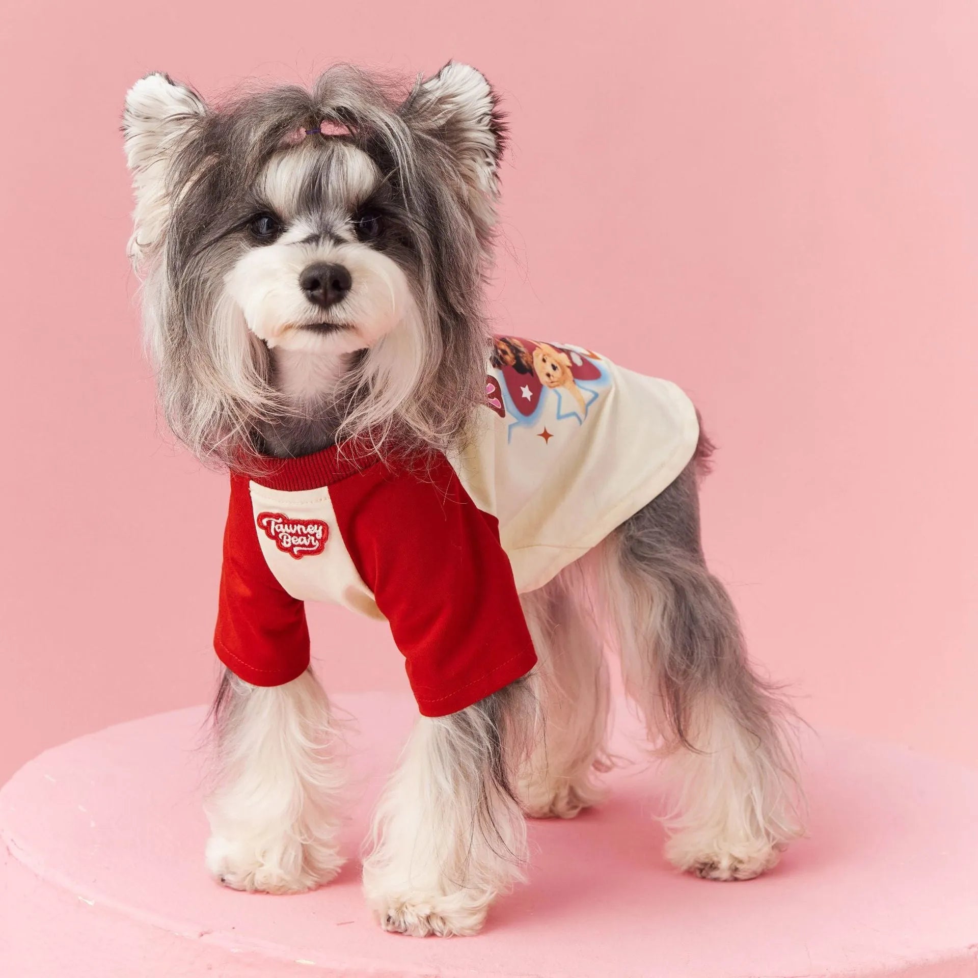 Cotton dog summer clothes in embroidered red and pink colours showing size range XS to XXL