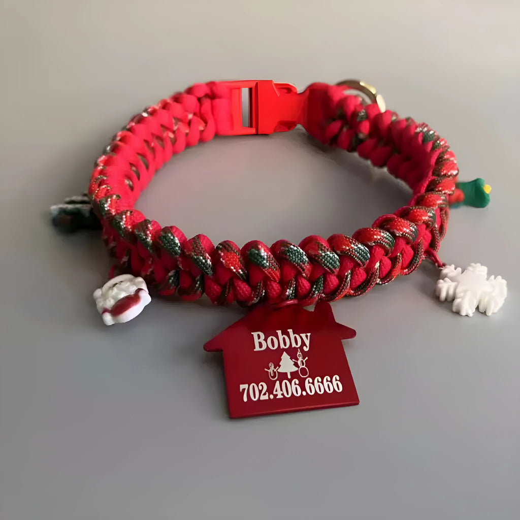 Hand holding rope P chain dog leash with green zinc alloy release buckle on a medium-sized dog