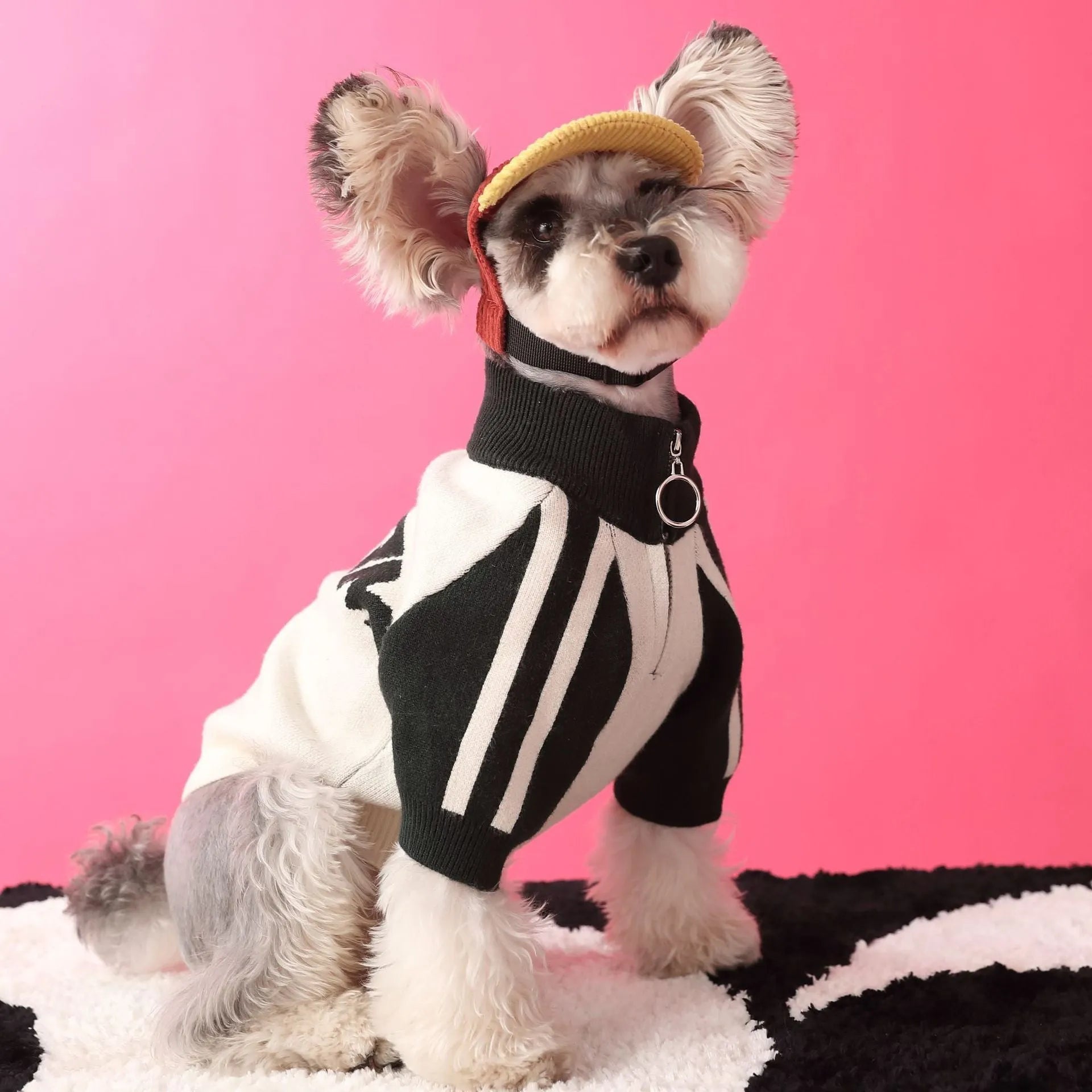 Red wool puppy dog sports sweater cardigan on white background, size S to XXL available