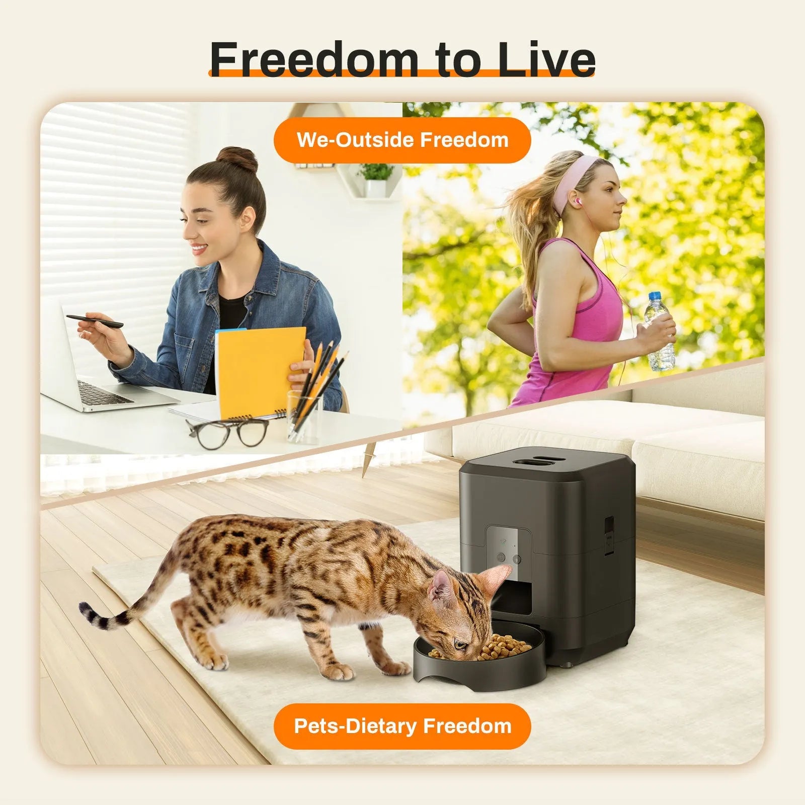 Pet intelligent automatic feeder for cats with white body and button controls, on a kitchen counter