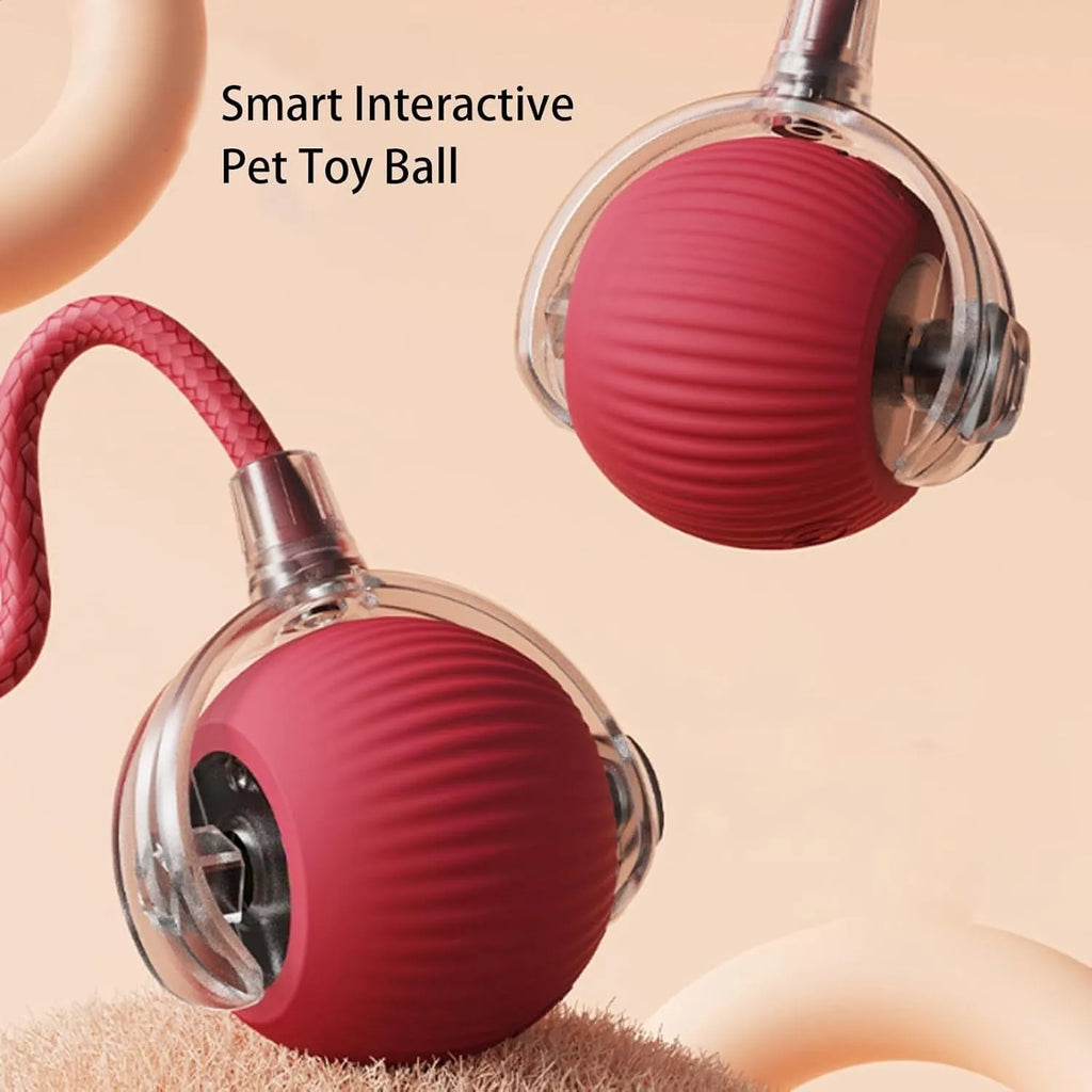 Interactive smart rolling ball toy for dogs and cats 6.5cm diameter in gray with rope attachment
