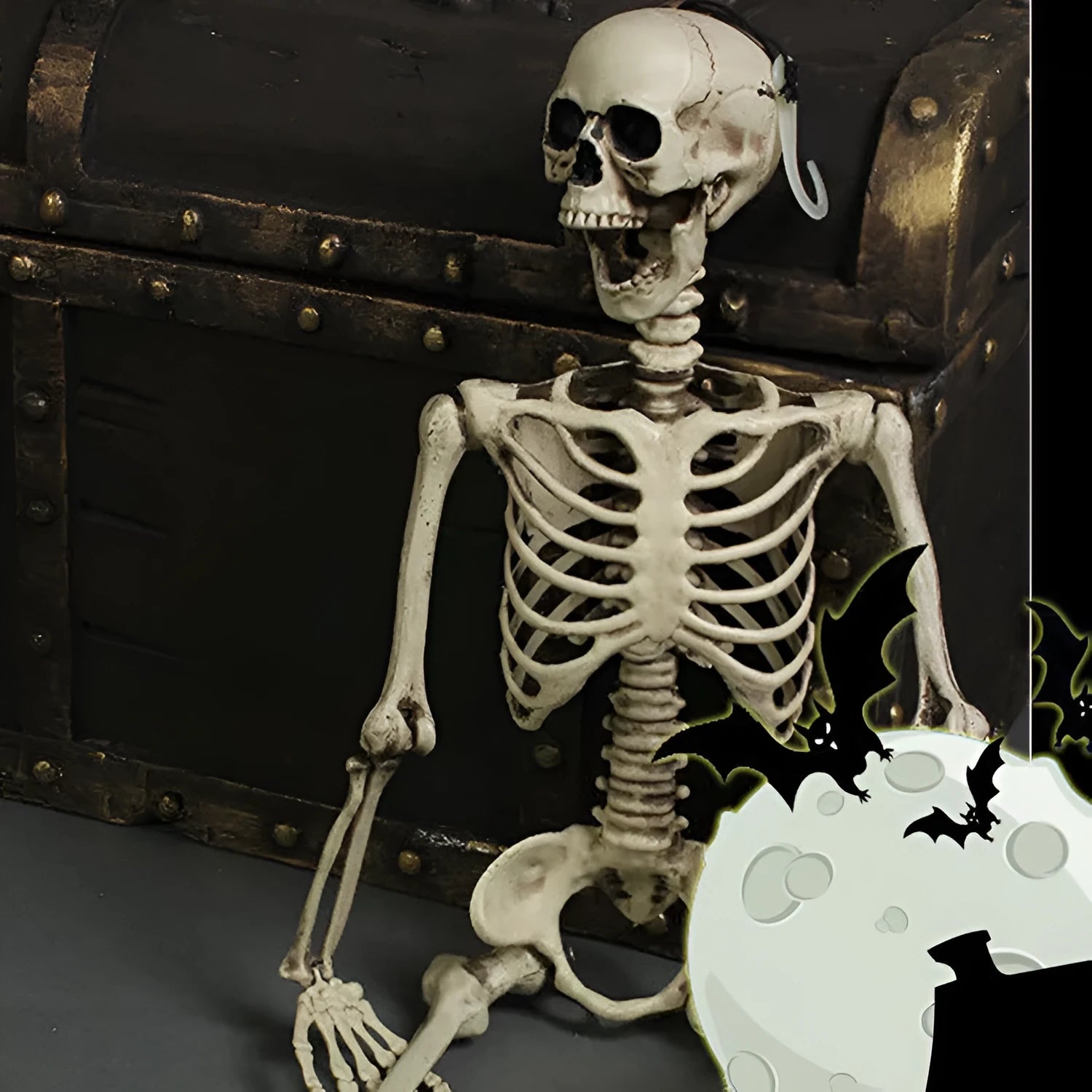 Full-height 170cm plastic skeleton prop with realistic bone structure