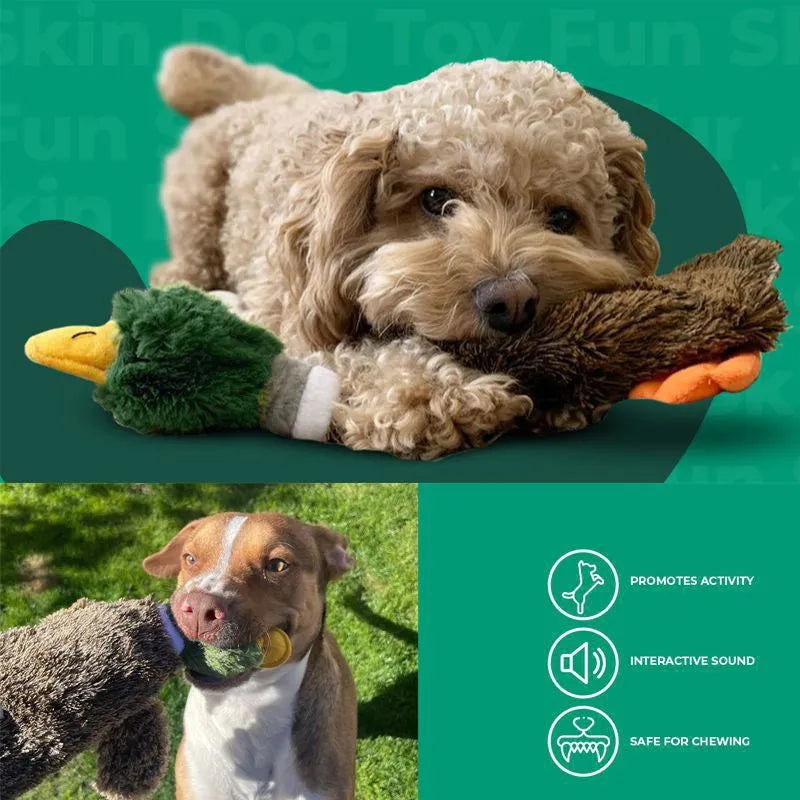 Green wild duck shaped soft dog toy with no stuffing and dual squeakers