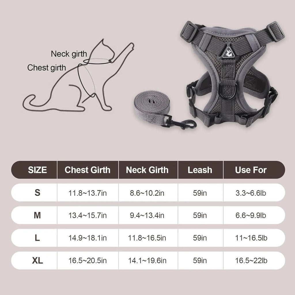 Blue breathable mesh cat chest harness with reflective stitching and leash, on a cat outdoors