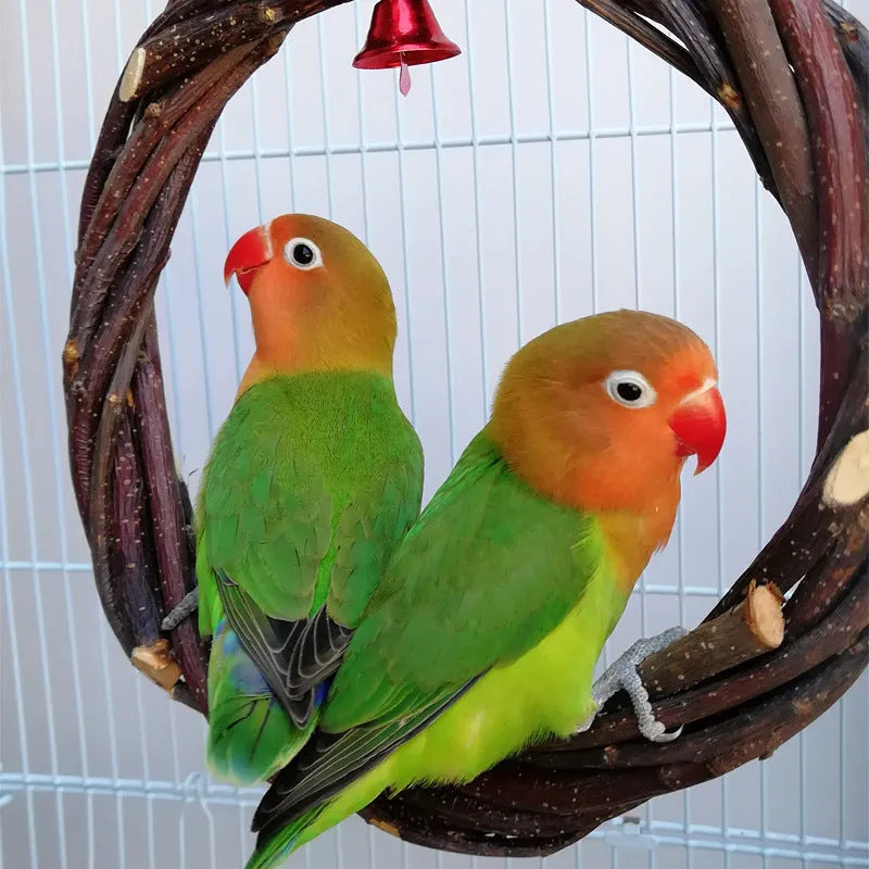 Natural apple branch braided ring bird toy in 15cm diameter for small birds, wood standing frame