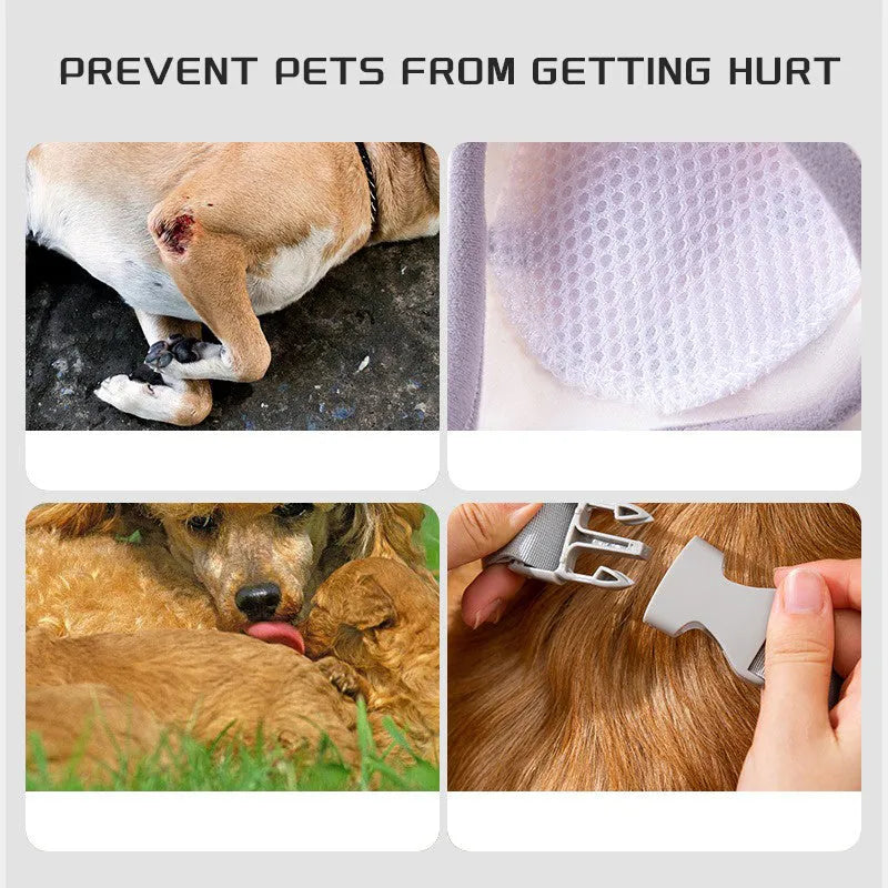 Blue dog knee protector wrap with thick elbow pad and matching scarf on a medium large dog
