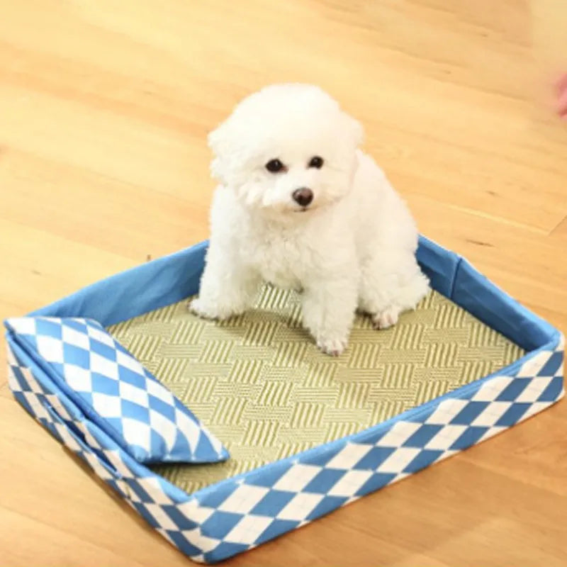 Blue woven rattan cat mat on a wooden floor, showing size scale compared to a cat.