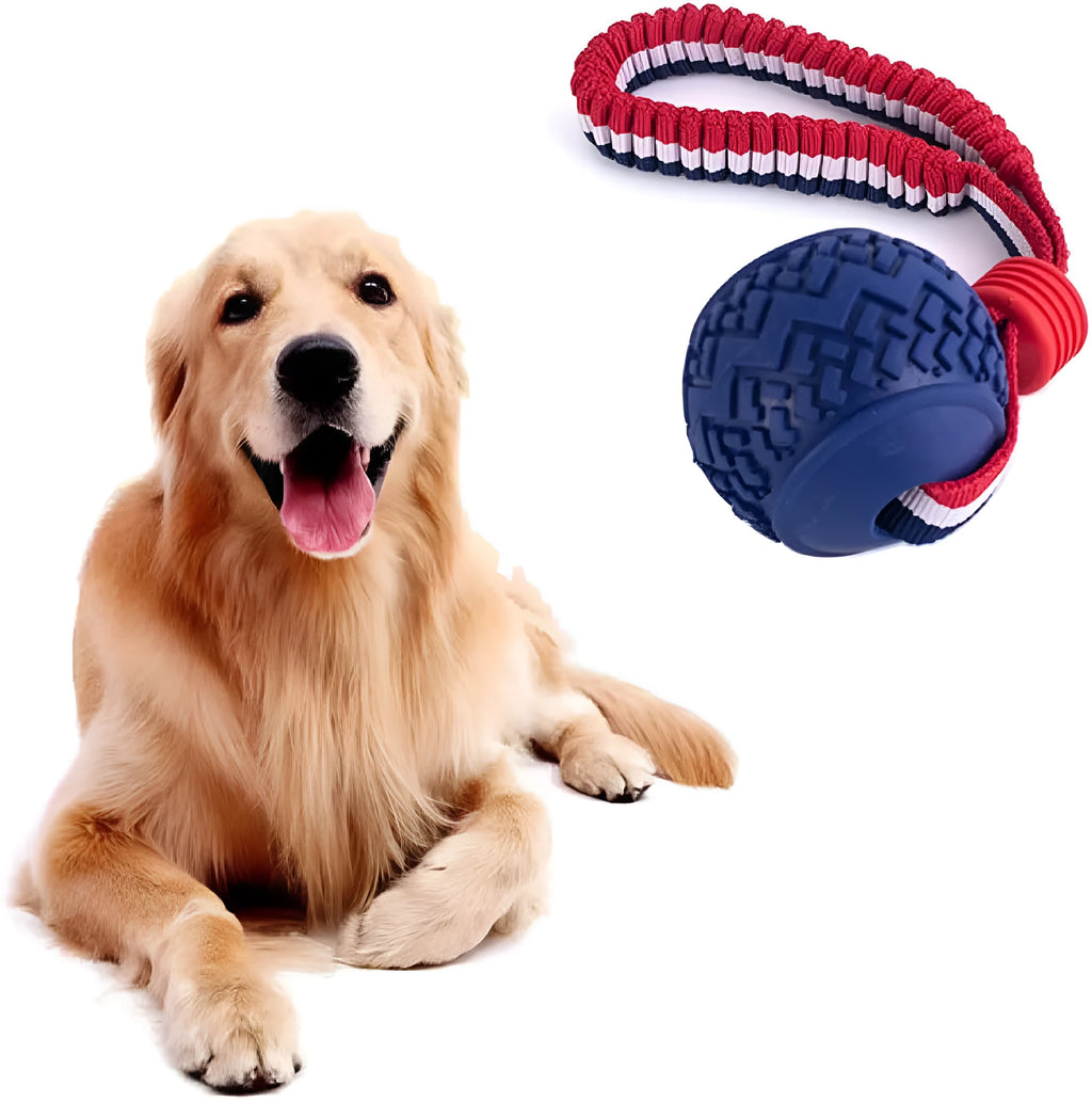 Blue natural rubber dog ball attached to a rope toy for small breeds, showing textured surface.