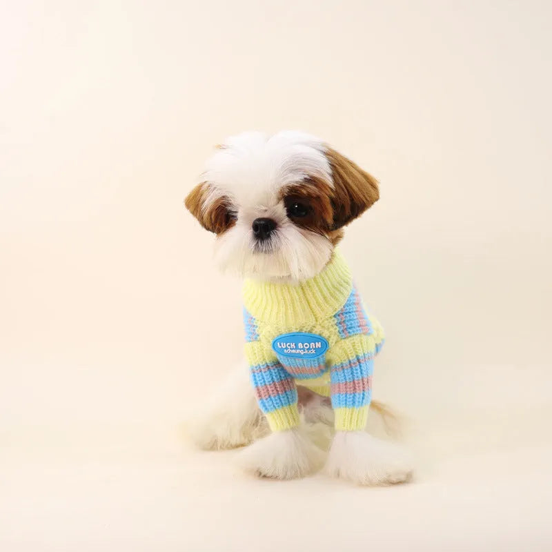 Blue and yellow striped wool dog sweater for small breeds in six sizes from XS to XXL