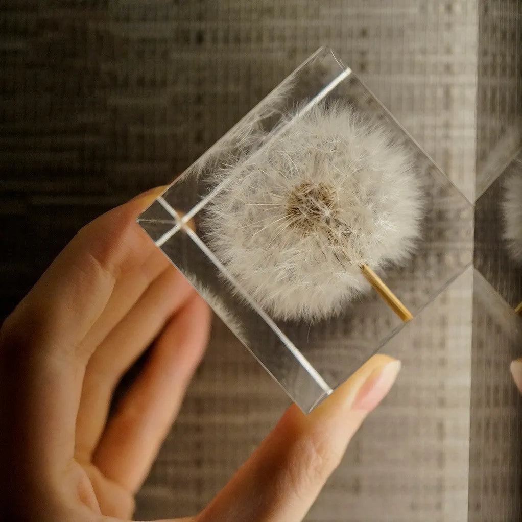 Dandelion preserved in a clear 5cm resin cube on a wooden box with USB charging base for tabletop decoration