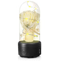 Creative 2 in 1 bouquet LED light and Bluetooth speaker in glass cover with rose lights