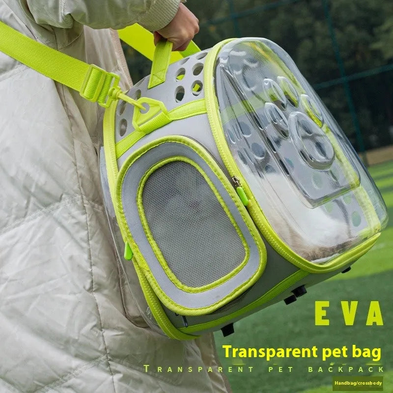 Transparent hard-shell cat backpack carrier in large size, shown in lake blue colour
