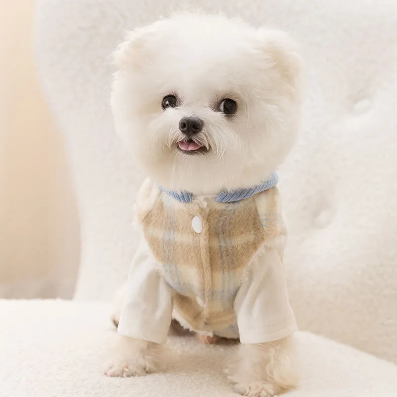 Blue corduroy dog hooded vest with chessboard grid pattern and traction hood