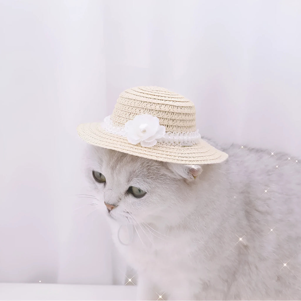 Handmade paper pet hat with adjustable bowknot shown in cartoon style for dogs and cats