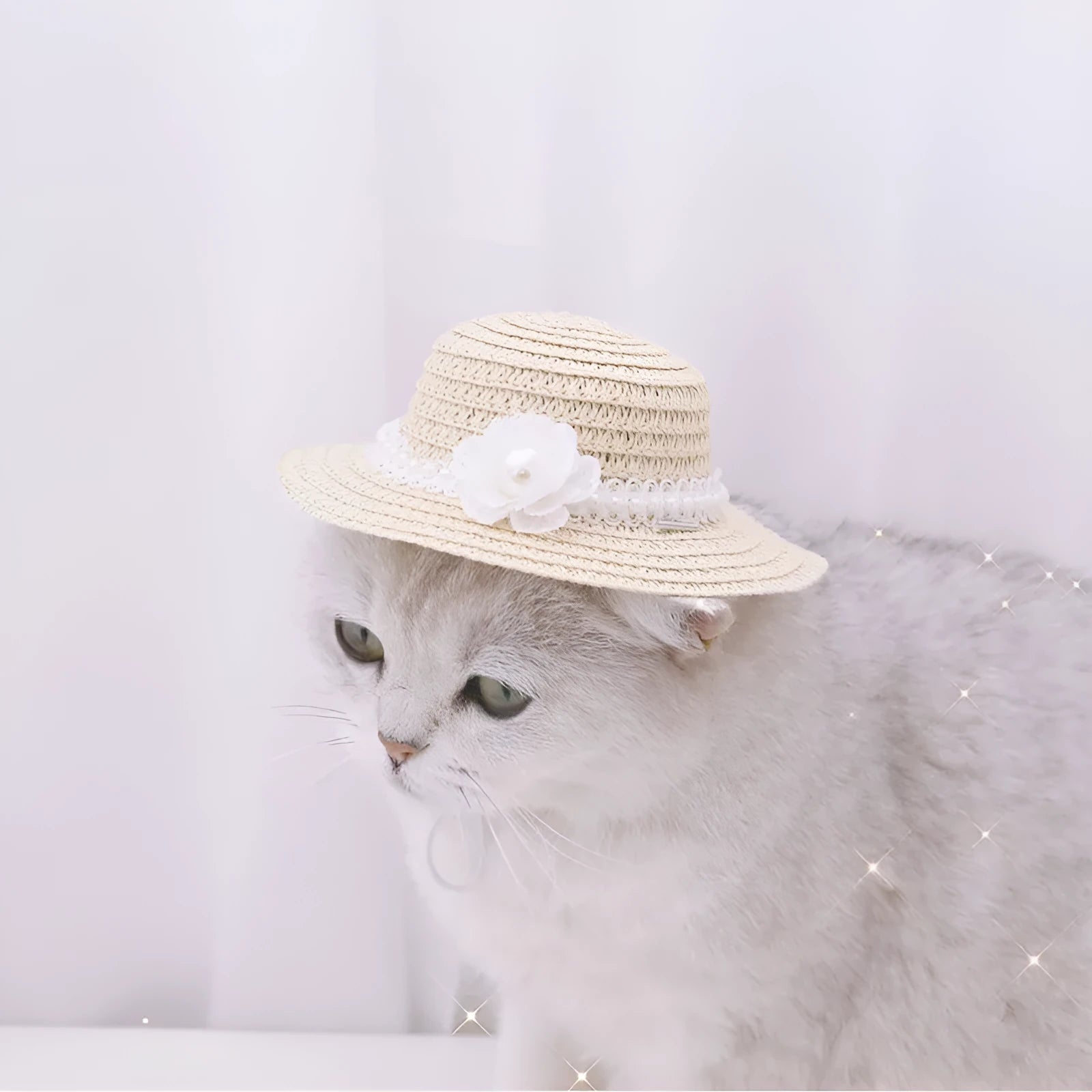 Handmade paper pet hat with adjustable bowknot shown in cartoon style for dogs and cats