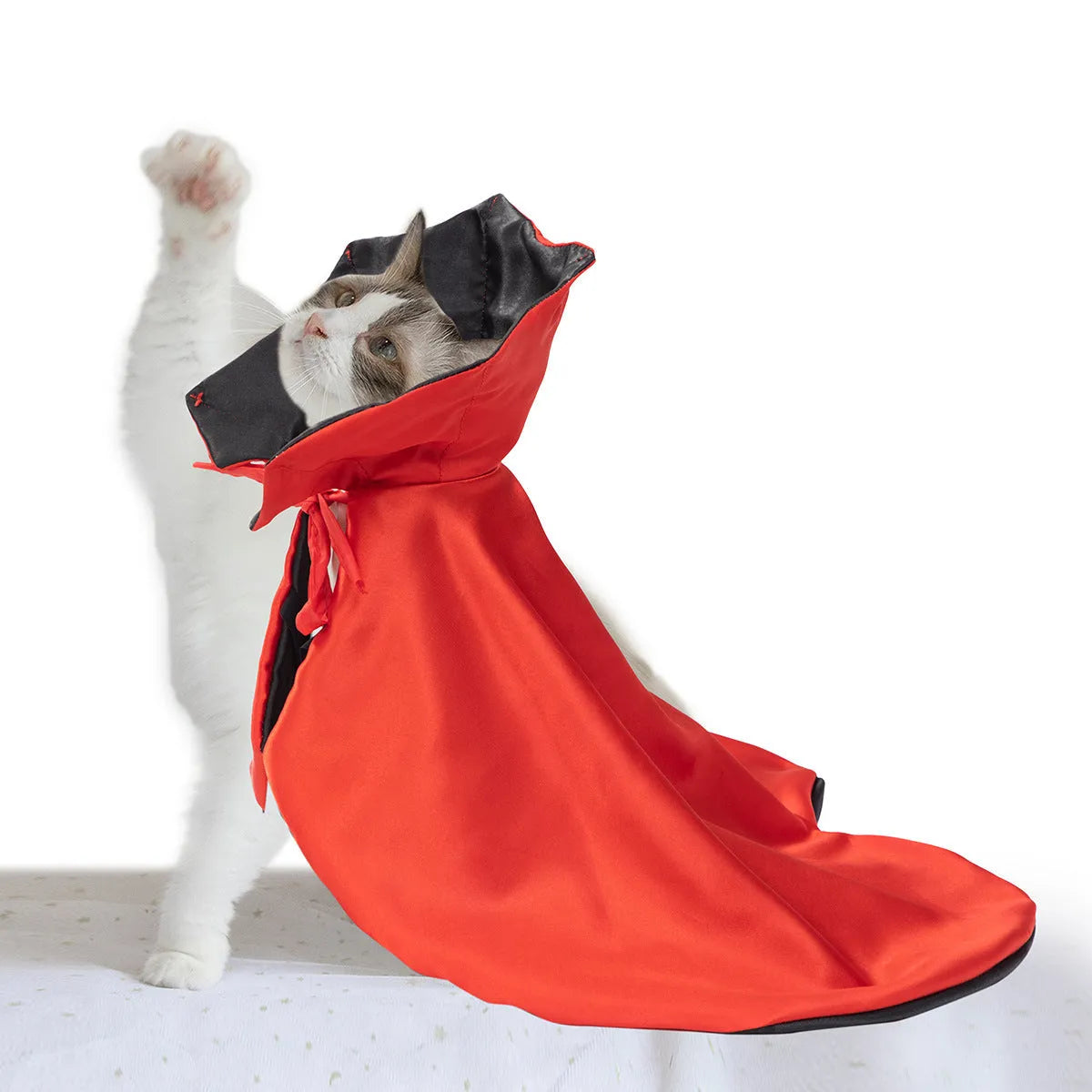 Red polyester Halloween atmosphere cloak for pets, laid flat showing cape design