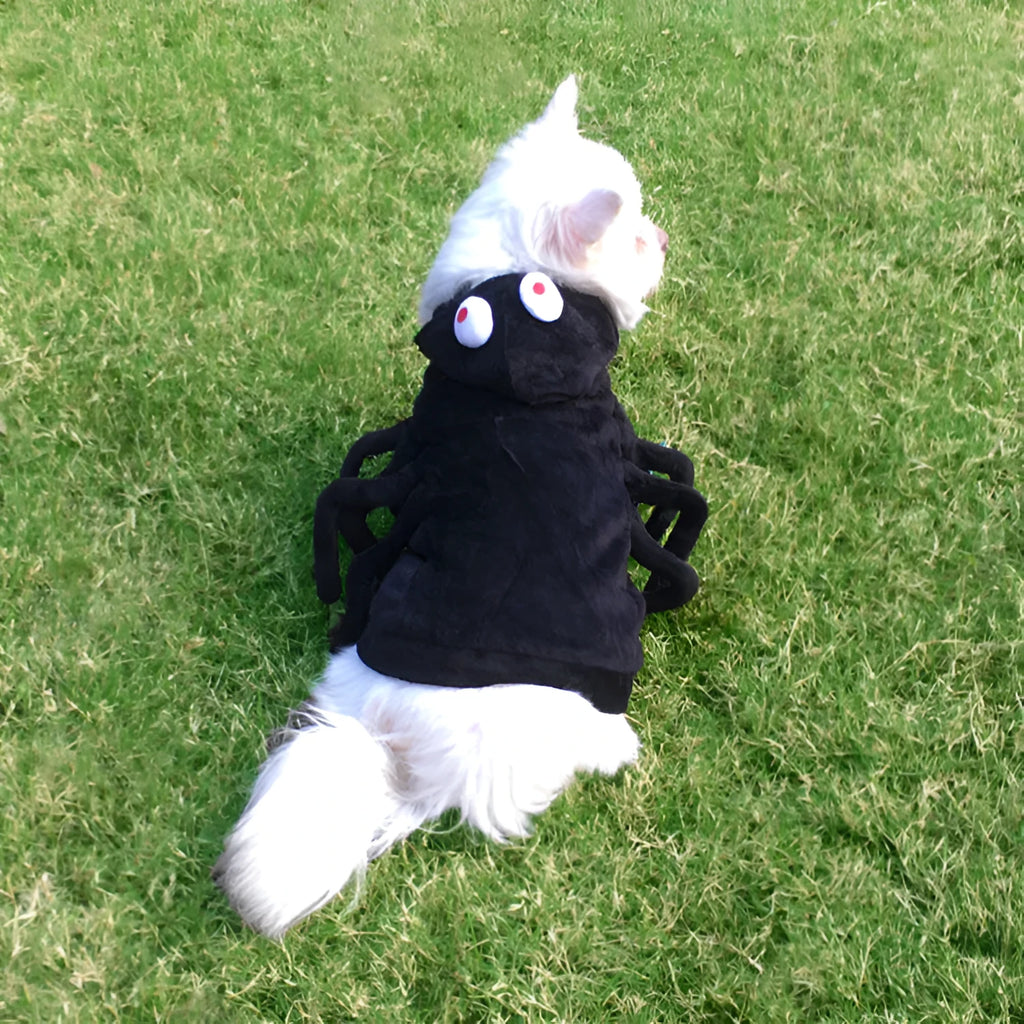 Halloween spider style polyester pet costume for dogs and cats, front view