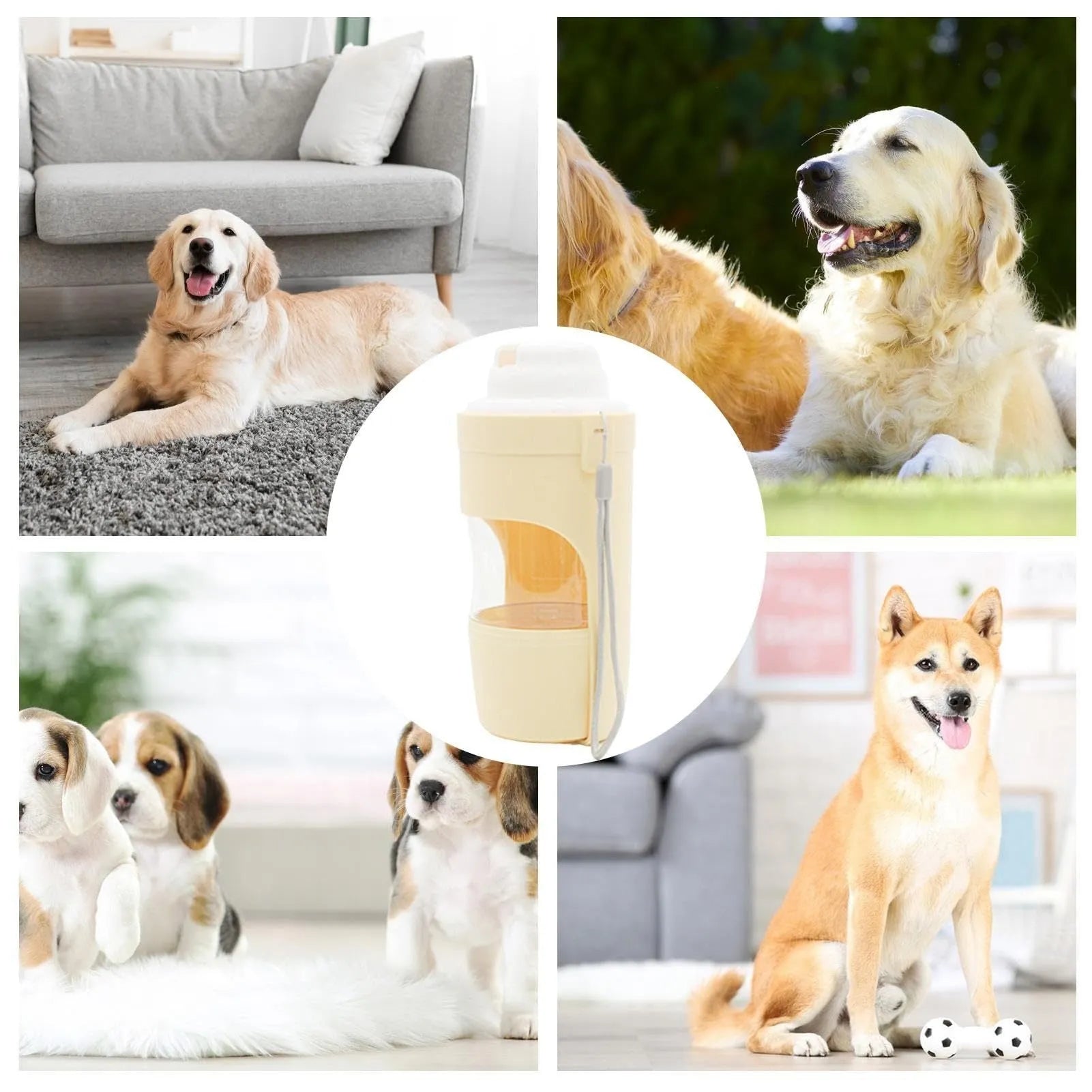 2-in-1 travel dog water bottle with 690ml capacity and lanyard, leakproof design for outdoor pet feeding